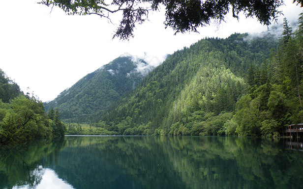 九寨溝，清幽靜謐的熊貓海，湖面開(kāi)闊而綿長(zhǎng)，水色碧藍(lán)，山色倒影歷歷，自然之美，美得自然！